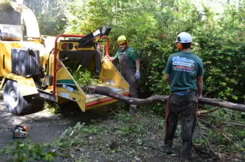 tree services Laurens